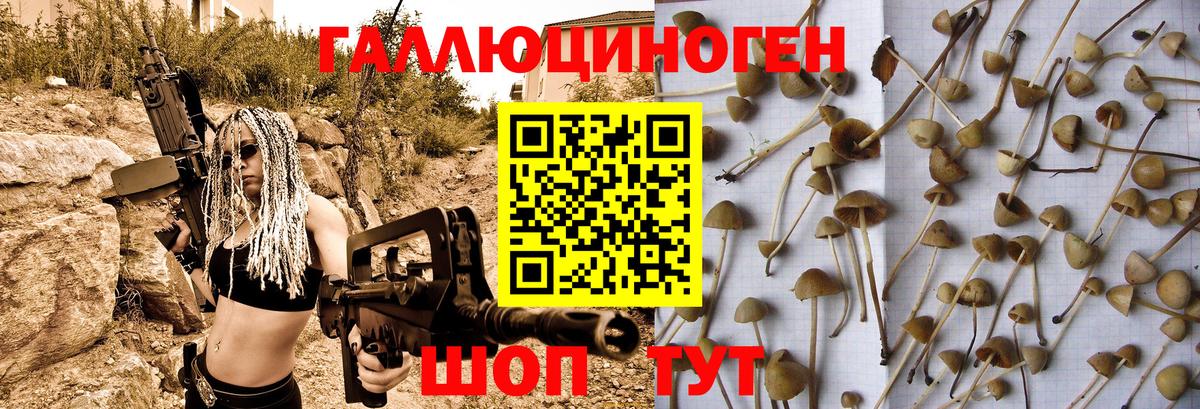 наркотики  Вход с VPN  Котовск  Псилоцибиновые грибы GOLDEN TEACHER 